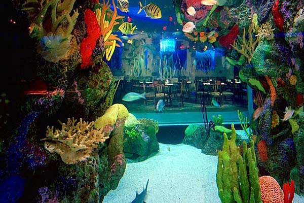 Nhà hàng Aquarium