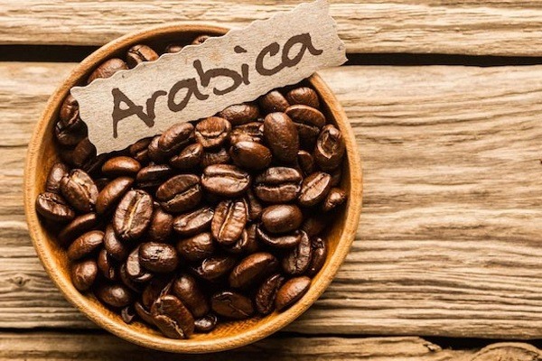 hình ảnh cà phê arabiaca