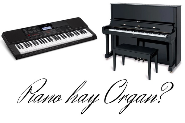 Nên Học Piano Hay Organ? Điểm Giống Và Khác Nhau Của Chúng